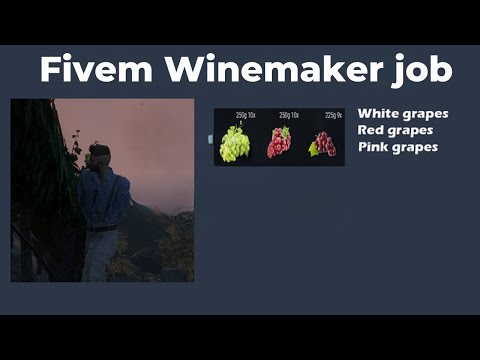 Fivem Winemaker job  | Fivem Script | Exs Script