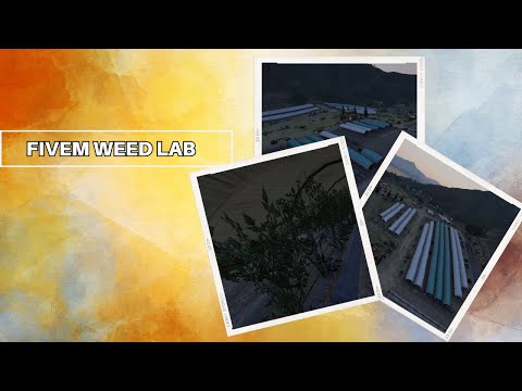 [FiveM Store ] Weed Lab Fivem for fivem servers