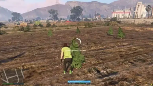 Take a trip through the virtual realm of Fivem by using the fivem weed farming script. Learn about this script's features, advice, and frequently asked