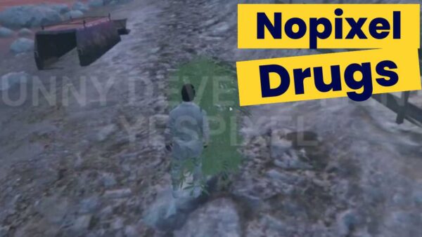 Explore the world of NoPixel drugs, an intriguing component of the game that enhances the virtual world's gaming experience by adding depth, intricacy,