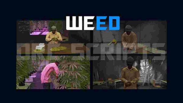 The Fivem Drug System introduces an immersive and engaging gameplay mechanic that adds depth, challenge, and realism to the virtual world of Fivem