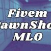 Explore the world of FiveM Pawnshop MLOs, their , customization, and how they enhance role-playing servers. popular mods and their unique features.