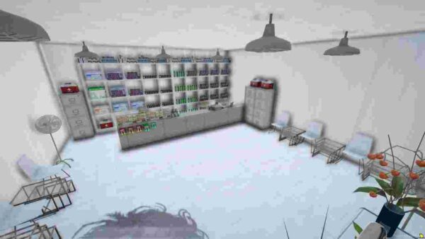 Pharmacy MLO Fivem is a custom interior map designed to represent a pharmacy within Fivem. These MLOs are meticulously crafted to resemble real-world pharmacies, complete with shelves of medicines, consultation areas, and other relevant features that one would expect in a pharmacy setting.