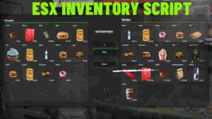 Learn to use the ESX inventory script in Fivem for smooth item management. Tips to organize and control your inventory effectively!