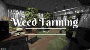 Discover the best Fivem Weed Farming MLO to expand your virtual farming empire. Start cultivating, managing, and profiting in the ultimate RP experience