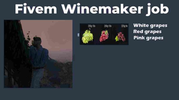 Adding a winemaker job to your Fivem server creates a unique roleplay experience. It introduces farming, production, and sales mechanics while enriching the server’s economy and player interactions.